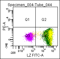 Figure 1. Flow cytometric analysis of a normal blood sample after immunostaining with GM-4132 (Lysozyme-FITC)